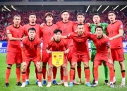 华体会平台-国足1：0小胜中国香港，谢文能表现疲软或遭抛弃的简单介绍