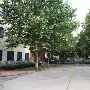 包含台北队士气高昂，风雨过后见彩虹，必胜之路的词条