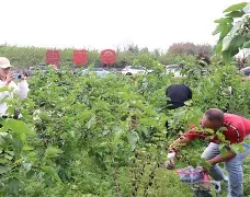 包含德怡粗灰多讨杜盗端赛区苦战回+胜的词条